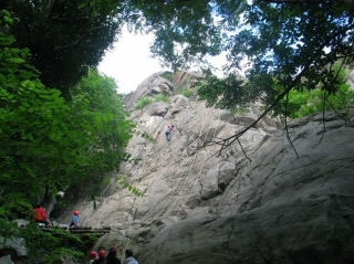 Al pie del acantilado